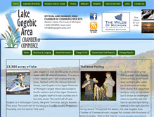 Tablet Screenshot of lakegogebicarea.com